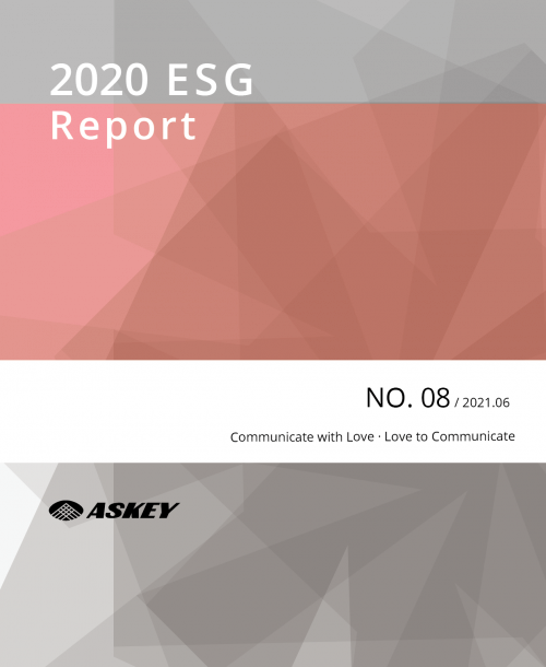 Environmental Social Governance Report 2020